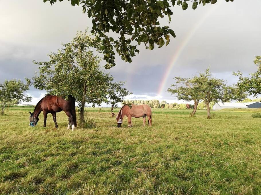 De Kaasmakerij - Ruim Vakantiehuisje Op Huize Blokland Hem Exterior foto